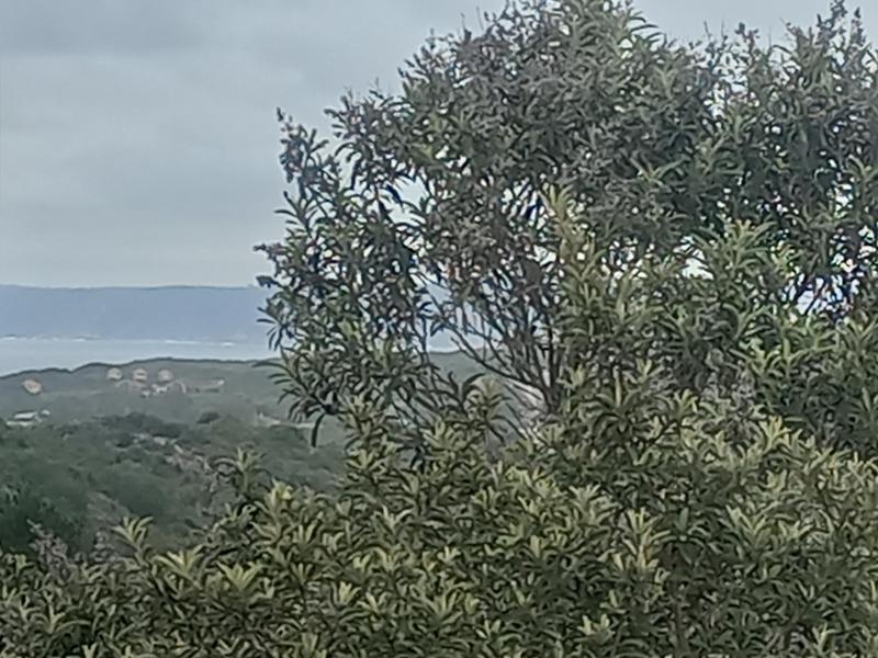 2 Bedroom Property for Sale in Wilderness Western Cape